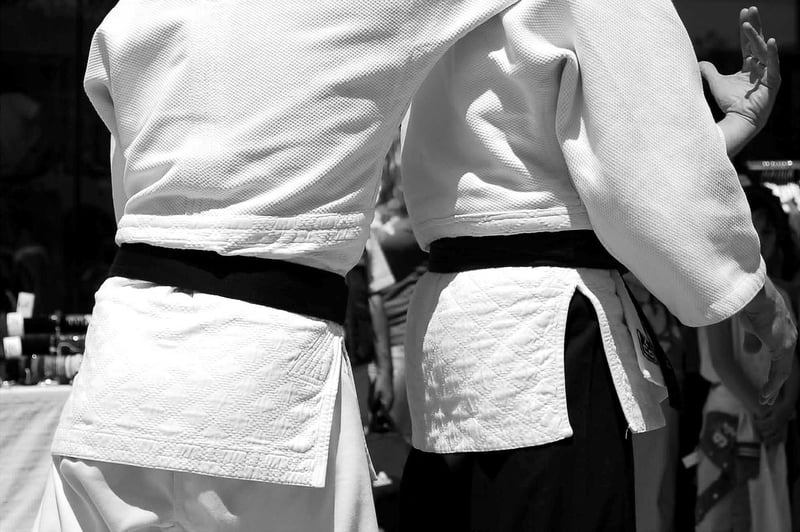 Judo Martial Arts Competition